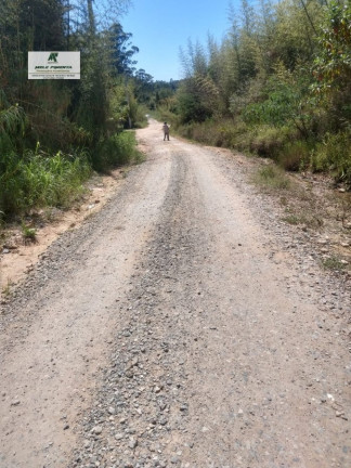 Imagem Terreno à Venda, 2.500 m² em Caetê - São Roque