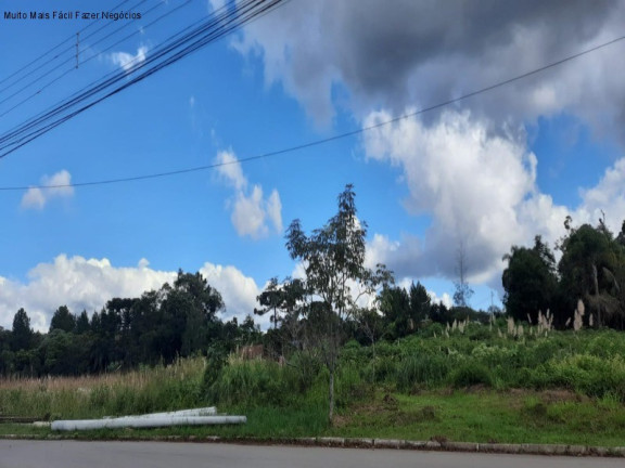 Imagem Terreno à Venda, 12.438 m² em Germânia - Nova Petrópolis Imagem Terreno à Venda, 12.438 m² em Germânia - Nova Petrópolis