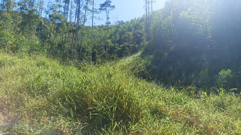 Imagem Chácara com 1 Quarto à Venda, 200 m² em Mirandão - Paraibuna Imagem Chácara com 1 Quarto à Venda, 200 m² em Mirandão - Paraibuna