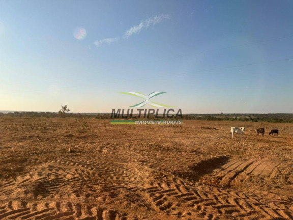Imagem Fazenda à Venda, 82 m² em Santa Vitória Imagem Fazenda à Venda, 82 m² em Santa Vitória