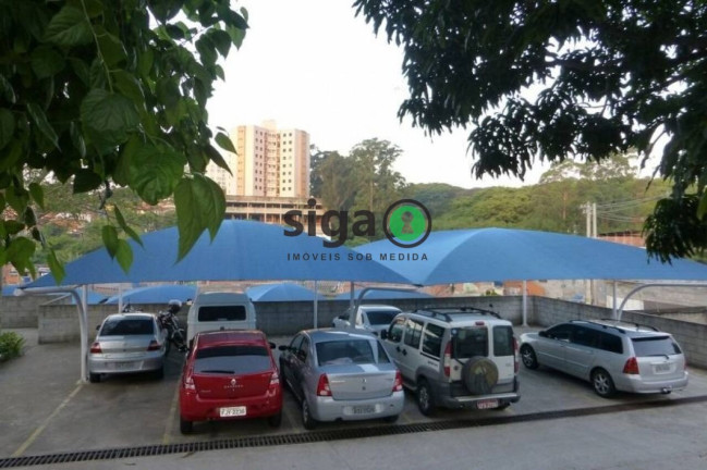 Imagem Apartamento com 3 Quartos à Venda, 66 m² em Super Quadra Morumbi - São Paulo