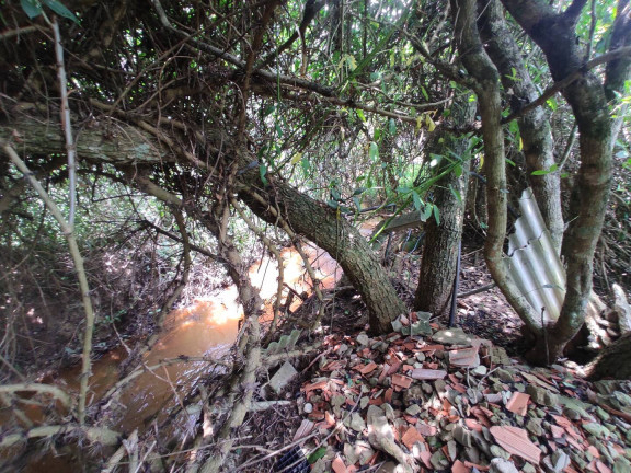 Imagem Chácara com 3 Quartos à Venda, 5.000 m² em Margens Da Raposo Tvares - Alambari Imagem Chácara com 3 Quartos à Venda, 5.000 m² em Margens Da Raposo Tvares - Alambari