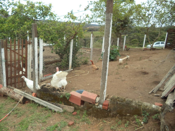 Imagem Chácara com 3 Quartos à Venda, 58.800 m² em Santos - Piedade