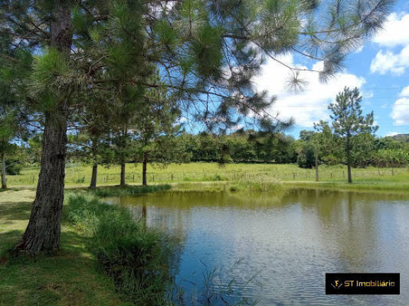 Imagem Chácara com 3 Quartos à Venda, 40.000 m² em Vitória Régia - Atibaia