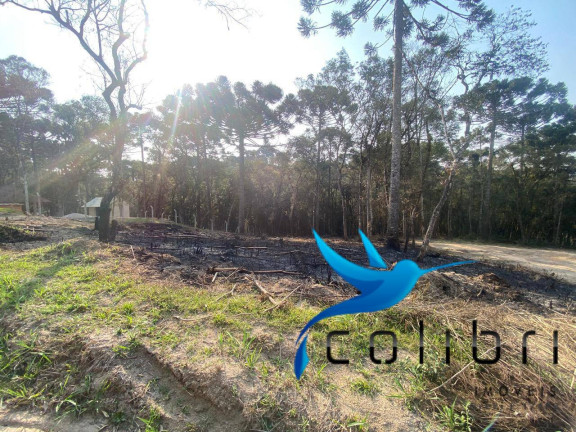 Imagem Terreno à Venda, 2.141 m² em Leão - Agudos Do Sul Imagem Terreno à Venda, 2.141 m² em Leão - Agudos Do Sul