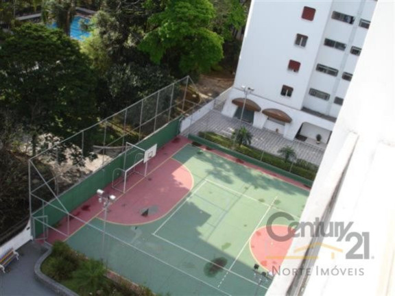 Imagem Apartamento com 3 Quartos à Venda, em Tucuruvi - São Paulo Imagem Apartamento com 3 Quartos à Venda, em Tucuruvi - São Paulo