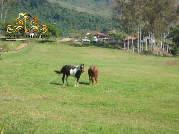 Imóvel com 10 Quartos à Venda, 364.000 m² em Centro - Arapeí