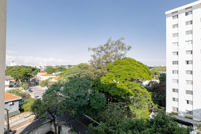 Imagem Apartamento com 3 Quartos à Venda, 115 m² em Parque Colonial - São Paulo