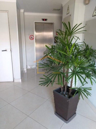 Imagem Apartamento com 3 Quartos à Venda, 60 m² em Vila Constança - São Paulo Imagem Apartamento com 3 Quartos à Venda, 60 m² em Vila Constança - São Paulo