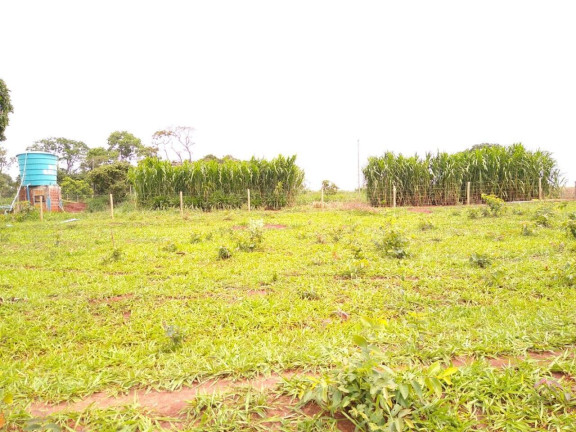 Imagem Fazenda à Venda, 23 m² em Centro - Santa Vitória Imagem Fazenda à Venda, 23 m² em Centro - Santa Vitória