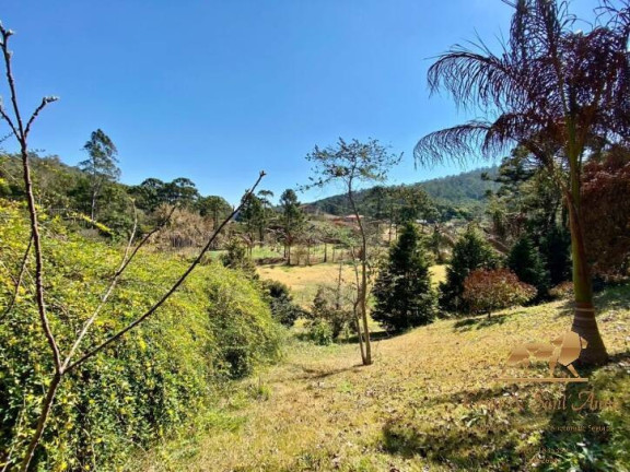 Imagem Chácara com 7 Quartos à Venda, 25.000 m² em Zona Rural - Santo Antônio Do Pinhal Imagem Chácara com 7 Quartos à Venda, 25.000 m² em Zona Rural - Santo Antônio Do Pinhal