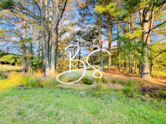 Imagem Terreno à Venda, 100.000 m² em Mato Queimado - Gramado Imagem Terreno à Venda, 100.000 m² em Mato Queimado - Gramado
