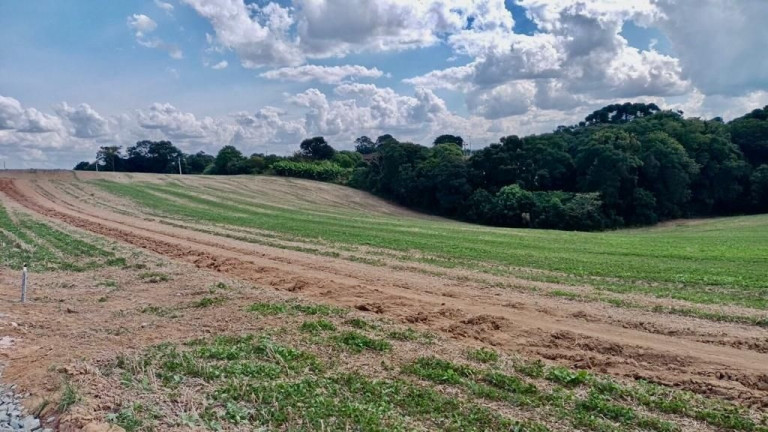 Imagem Fazenda à Venda, em Zona Rural - Araucaria Imagem Fazenda à Venda, em Zona Rural - Araucaria