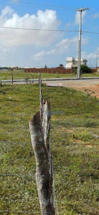 Imagem Terreno à Venda, 520 m² em Taíba - São Gonçalo Do Amarante Imagem Terreno à Venda, 520 m² em Taíba - São Gonçalo Do Amarante