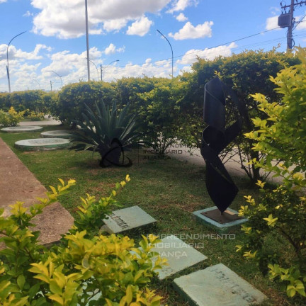 Imagem Apartamento com 2 Quartos à Venda, 52 m² em Riacho Fundo Ii - Brasília Imagem Apartamento com 2 Quartos à Venda, 52 m² em Riacho Fundo Ii - Brasília