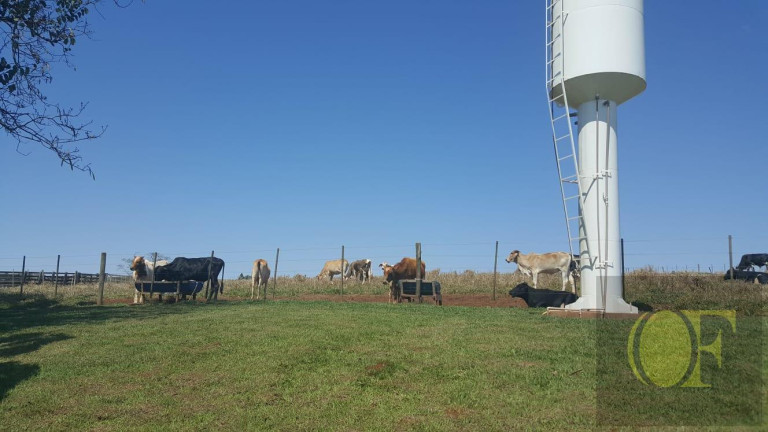 Imagem Chácara à Venda, 28 m² em Rural - águas De Santa Bárbara Imagem Chácara à Venda, 28 m² em Rural - águas De Santa Bárbara