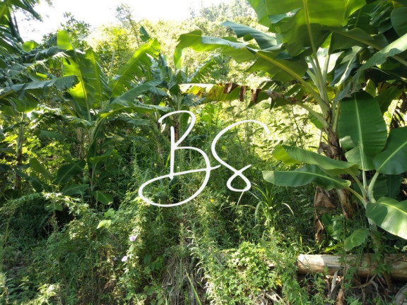 Imagem Imóvel à Venda, 340.000 m² em Linha 28 - Três Coroas Imagem Imóvel à Venda, 340.000 m² em Linha 28 - Três Coroas