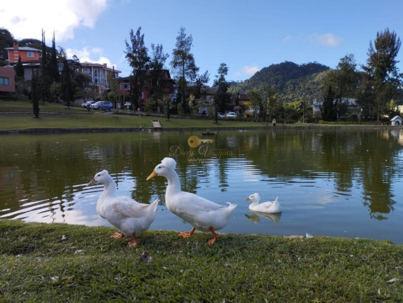 Imagem Terreno à Venda, 482 m² em Vargem Grande - Teresópolis Imagem Terreno à Venda, 482 m² em Vargem Grande - Teresópolis