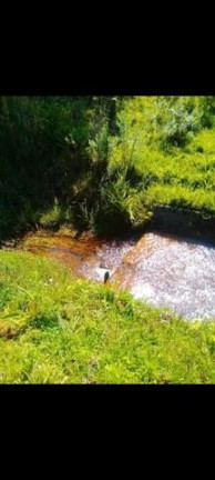Imagem Imóvel à Venda, 42.500 m² em Matulao - Tijucas Do Sul