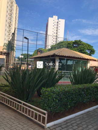 Imagem Apartamento com 3 Quartos à Venda, 63 m² em Jardim Augusta - São José Dos Campos Imagem Apartamento com 3 Quartos à Venda, 63 m² em Jardim Augusta - São José Dos Campos