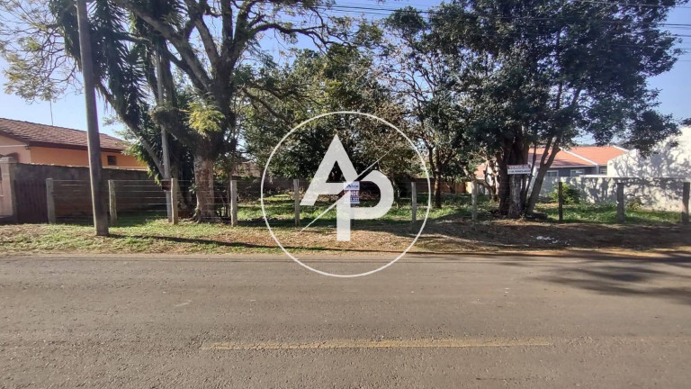 Imagem Terreno à Venda, 462 m² em Uvaranas - Ponta Grossa Imagem Terreno à Venda, 462 m² em Uvaranas - Ponta Grossa