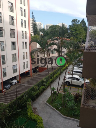 Imagem Apartamento com 3 Quartos à Venda, 90 m² em Jardim Marajoara - São Paulo Imagem Apartamento com 3 Quartos à Venda, 90 m² em Jardim Marajoara - São Paulo