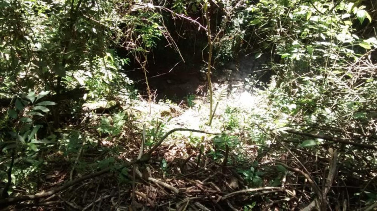 Imagem Terreno à Venda, 10.000 m² em Morro Alto - Itapetininga Imagem Terreno à Venda, 10.000 m² em Morro Alto - Itapetininga