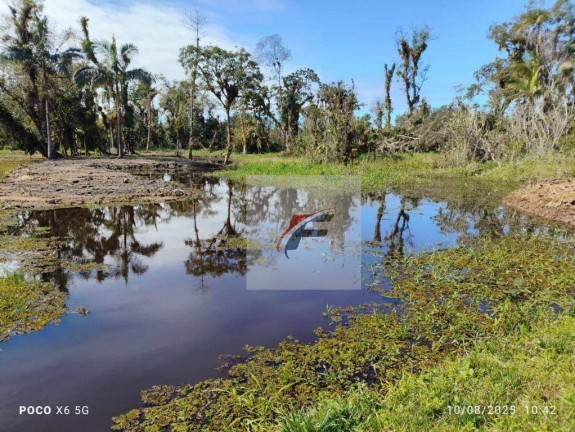 Imagem Fazenda à Venda, 1.127.962 m² em Zona Rural - Antonina