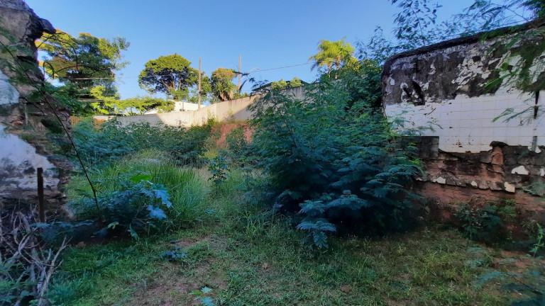 Imagem Terreno à Venda, 378 m² em Gutierrez - Belo Horizonte