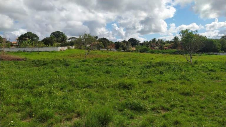Imagem Imóvel à Venda, 80.000 m² em Centro - Araruama Imagem Imóvel à Venda, 80.000 m² em Centro - Araruama