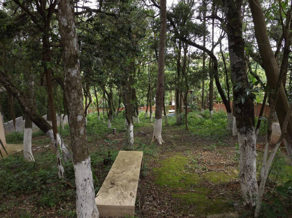 Imagem Chácara com 1 Quarto à Venda, 1.300 m² em Jardim Cananeia - Pilar Do Sul Imagem Chácara com 1 Quarto à Venda, 1.300 m² em Jardim Cananeia - Pilar Do Sul