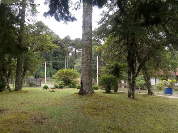 Imagem Casa com 4 Quartos à Venda, 280 m² em Sinoserra - Canela Imagem Casa com 4 Quartos à Venda, 280 m² em Sinoserra - Canela