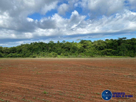 Imagem Chácara à Venda, 20 m² em Zona Rural - Rio Verde Imagem Chácara à Venda, 20 m² em Zona Rural - Rio Verde