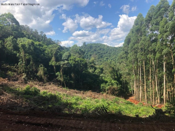 Imagem Terreno à Venda, 3 m² em Linha Olinda - Nova Petrópolis Imagem Terreno à Venda, 3 m² em Linha Olinda - Nova Petrópolis