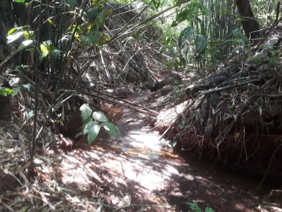 Imagem Terreno à Venda, 4.000 m² em Santa Terezinha De Minas - Itatiaiuçu Imagem Terreno à Venda, 4.000 m² em Santa Terezinha De Minas - Itatiaiuçu