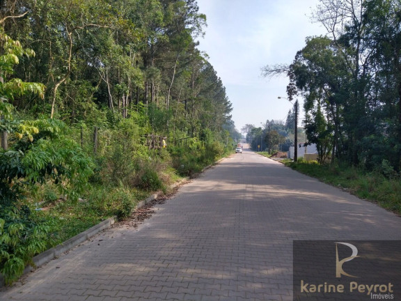 Imagem Terreno à Venda, 250 m² em Campestre - São Leopoldo Imagem Terreno à Venda, 250 m² em Campestre - São Leopoldo