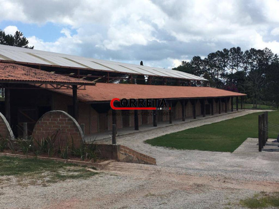 Imagem Chácara com 10 Quartos à Venda, 3 m² em Ibiúna
