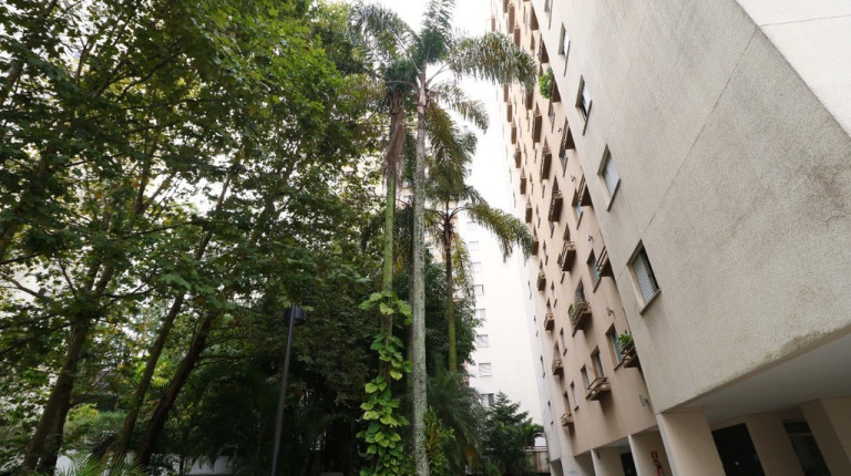 Imagem Apartamento com 3 Quartos à Venda, 63 m² em Vila Andrade - São Paulo