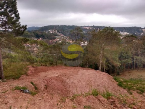 Imagem Terreno à Venda, 1.005 m² em Parque Rizzo Ii - Cotia