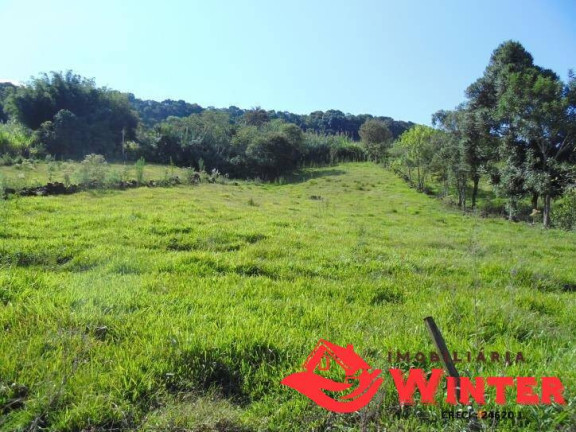 Imagem Chácara com 3 Quartos à Venda, 150 m² em Morro Gaúcho - Vale Real Imagem Chácara com 3 Quartos à Venda, 150 m² em Morro Gaúcho - Vale Real
