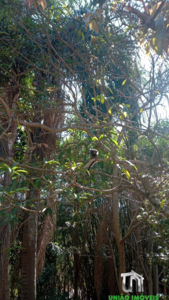 Imagem Imóvel com 3 Quartos à Venda, 200 m² em Bom Retiro Dos Mourão - Bragança Paulista