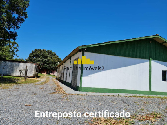 Imagem Chácara à Venda, 48.000 m² em Turvo Rodrigues - Itapetininga Imagem Chácara à Venda, 48.000 m² em Turvo Rodrigues - Itapetininga