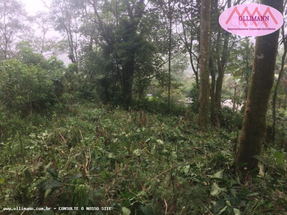 Imagem Terreno à Venda, 1.695 m² em Chácara Carreiras - Santo André Imagem Terreno à Venda, 1.695 m² em Chácara Carreiras - Santo André