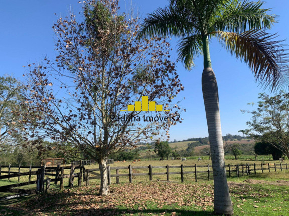 Imagem Chácara à Venda, 82.000 m² em Rural - Capela Do Alto
