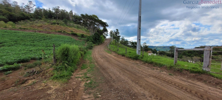 Imagem Imóvel à Venda, 121.000 m² em Amizade - Jandaia Do Sul Imagem Imóvel à Venda, 121.000 m² em Amizade - Jandaia Do Sul