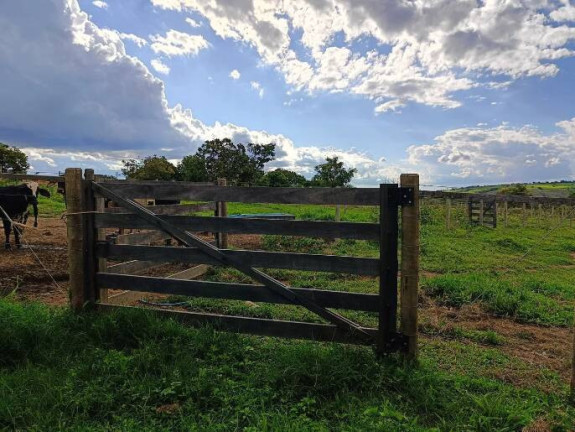 Imagem Chácara com 3 Quartos à Venda, 50.000 m² em Centro - Luziânia