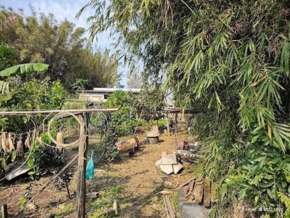 Imagem Terreno à Venda, 1 m² em São João - Itajaí Imagem Terreno à Venda, 1 m² em São João - Itajaí