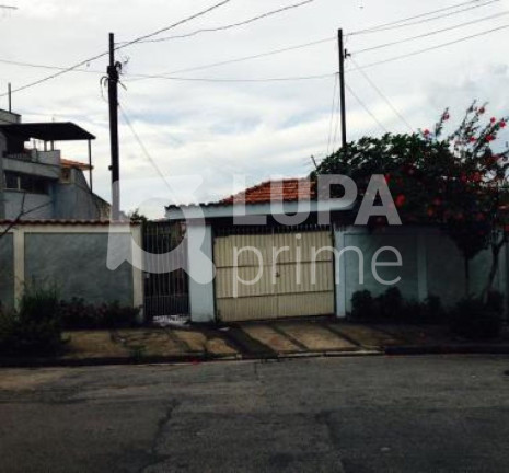 Imagem Terreno à Venda, 828 m² em Vila Maria Alta - São Paulo