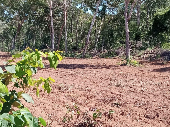 Imagem Fazenda à Venda, em Zona Rural - Caceres Imagem Fazenda à Venda, em Zona Rural - Caceres
