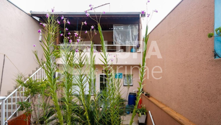 Imagem Casa com 4 Quartos à Venda, 202 m² em Jardim São Paulo - São Paulo Imagem Casa com 4 Quartos à Venda, 202 m² em Jardim São Paulo - São Paulo